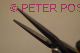 Plier tweezer
